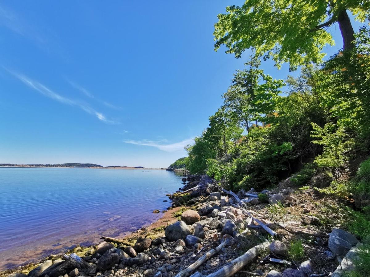 Knotty Pine Ocean Front - Adults Only Lodge