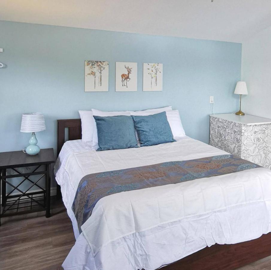 Knotty Pine Ocean Front - Adults Only Ingonish